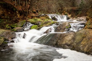 Reed Creek Waterfall at Savannah Rapids Park GA 5506